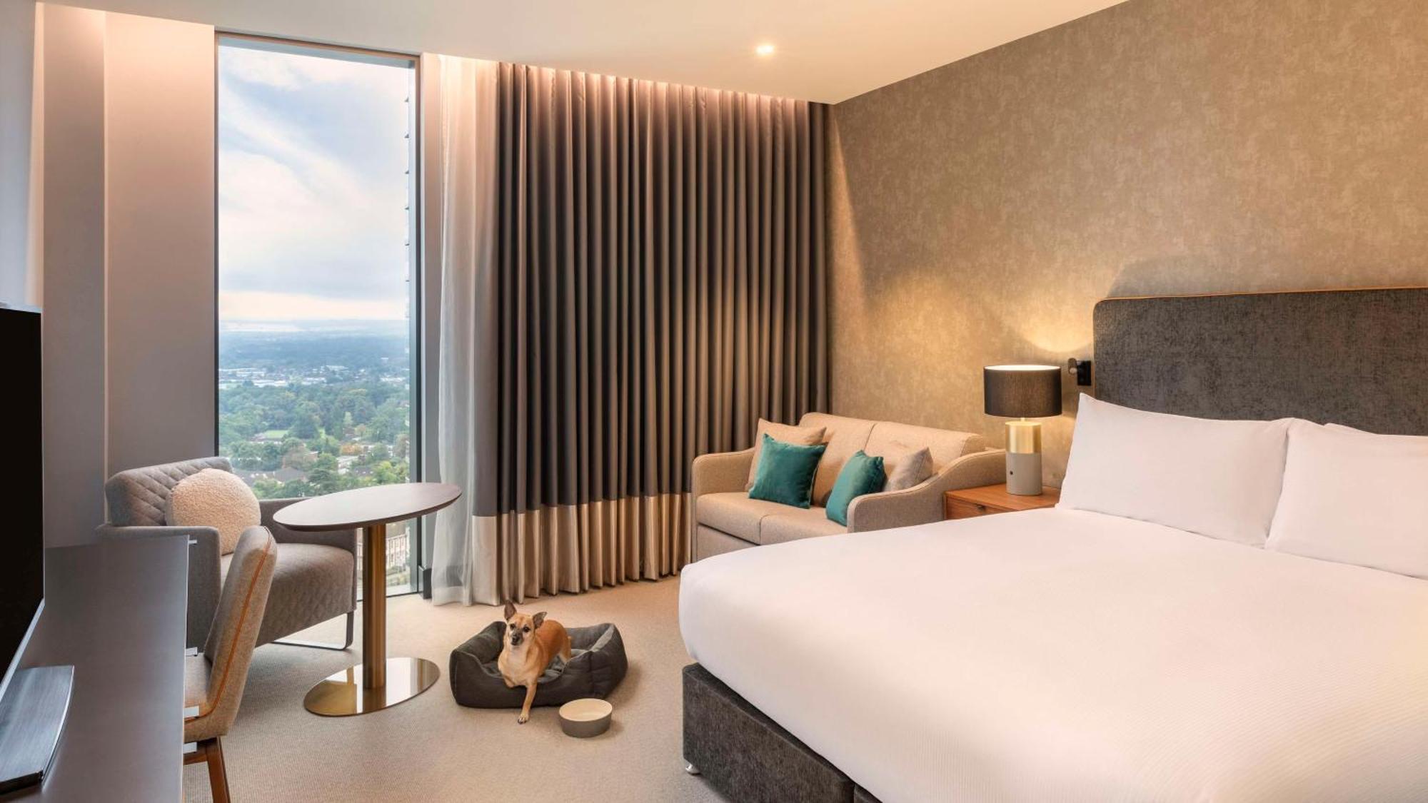 Hilton Woking 호텔 외부 사진